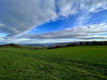 Afeno Cup Laupersdorf